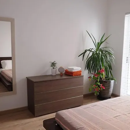Great Flat In * Sliema